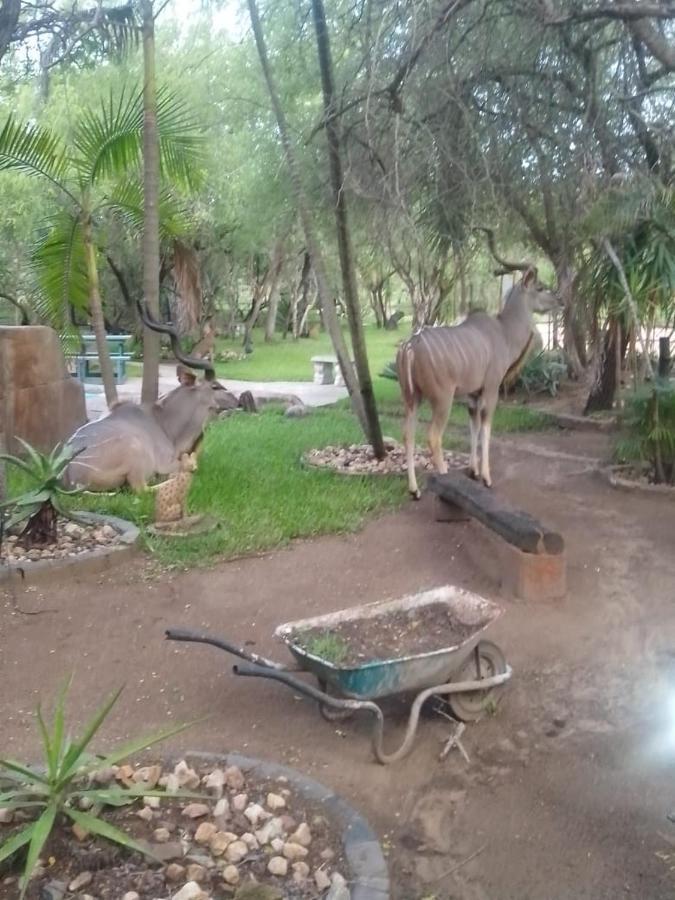 Bellamia Villa Marloth Park Exterior photo